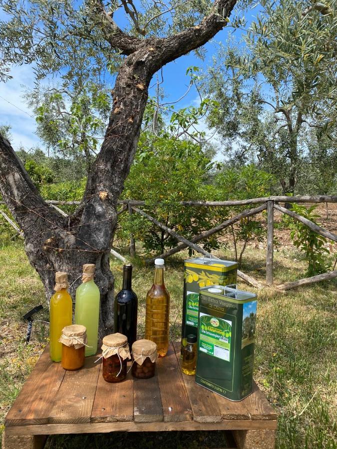 Agriturismo Azzarone Vieste Kültér fotó